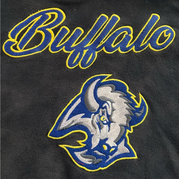 🔥 Buffalo Sabres Goathead Embroidered Hoodie Sweatshirt Large Gray washed look - Picture 2 of 6